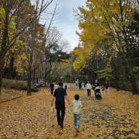 가을단풍 즐길 수 있는 서울대공원