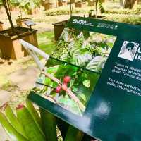 【インドネシア】壮大な植物園　“Kebun Raya Bogor”