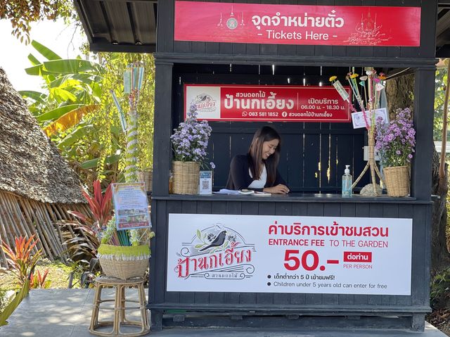 สวนดอกไม้ป้านกเอี้ยง แม่ริม เชียงใหม่