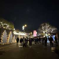 Viennese Christmas wonderland at city hall sq