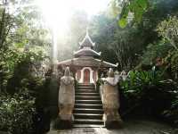 ทริปมิชชั่นนั่งสมาธิที่วัดผาลาด