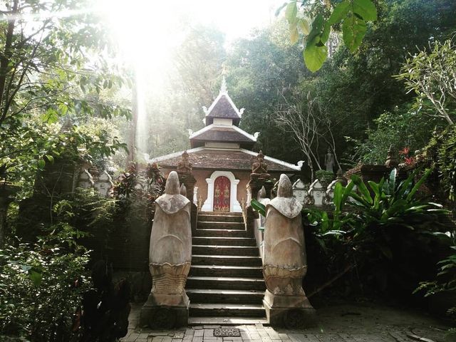 ทริปมิชชั่นนั่งสมาธิที่วัดผาลาด