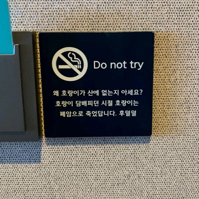 강릉 일출이 아름다운 호텔, 해송숲까지 누려요-!
