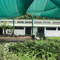 嘉道理農場暨植物園