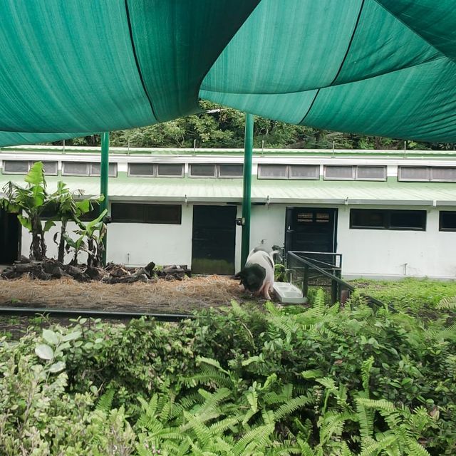 嘉道理農場暨植物園