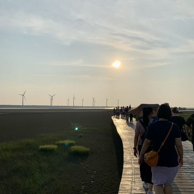 高美濕地-美得令人感動既自然風光