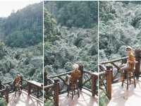 บ้านต้นไม้แม่แมะ Tree House Hideaway