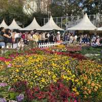 維園一年一度花卉展