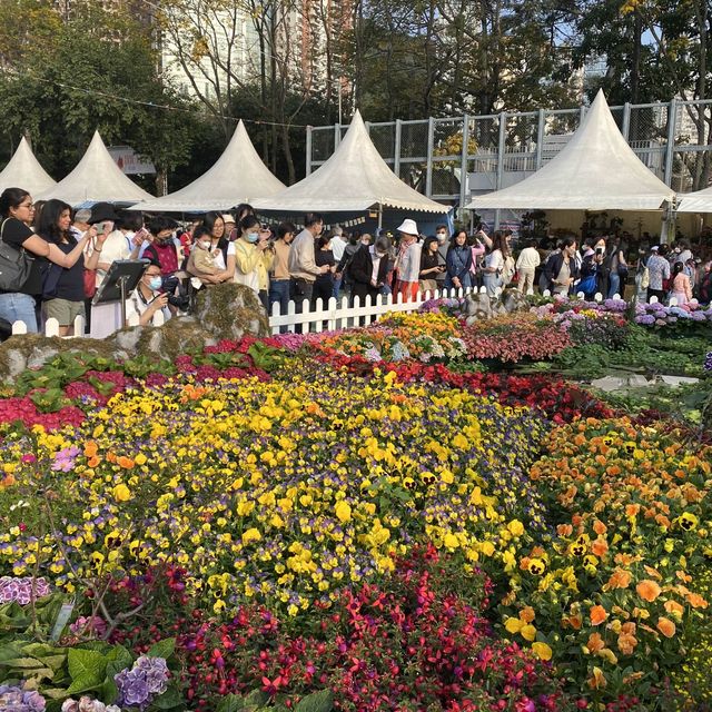 維園一年一度花卉展