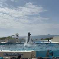 沖繩美麗海水族館