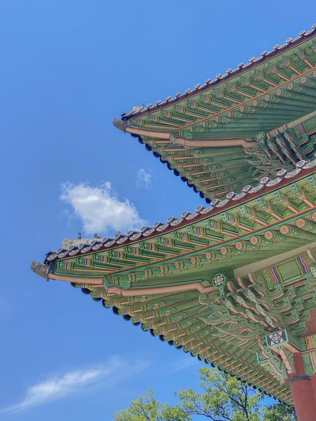 한복 입고 궁궐 걷기, 서울 창덕궁❤️