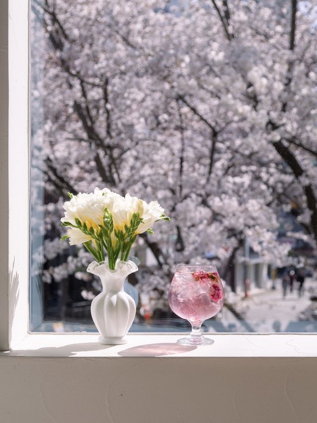 통창으로 벚꽃이 흩날리는 브런치 카페