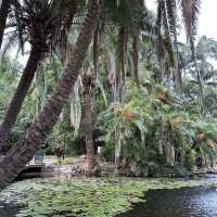 Botanic Garden 🍀🌱🌿🍃🌲