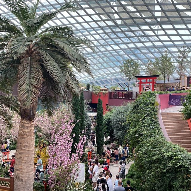 Flower Dome (GBTB) - Singapore