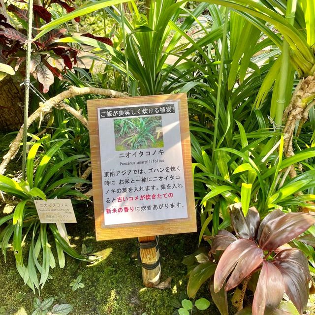 【静岡】熱川バナナワニ園　のんびり🐊や熱帯の植物が楽しめる