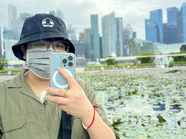 Lotus Pond in Singapore?!