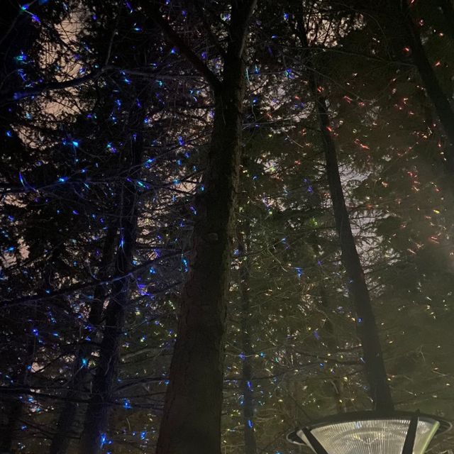 인천 아경 명소 🌉🌃 수봉 별마루 공원 💫