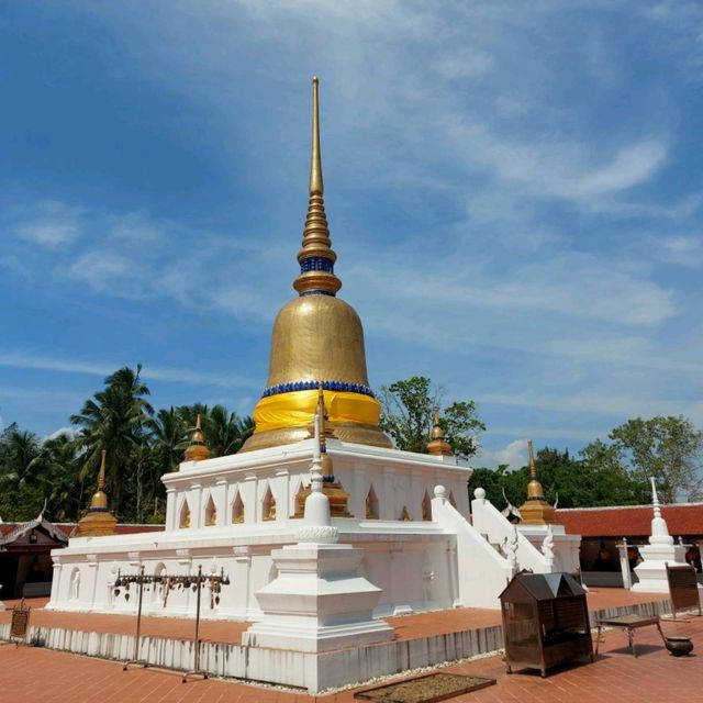 สักการะพระบรมสารีริกธาตุ ณ พระบรมธาตุสวี