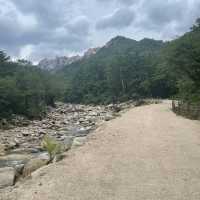 Sokcho