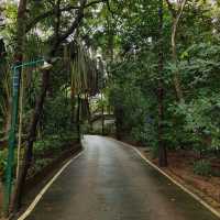 Tat Chomphu Reservoir park