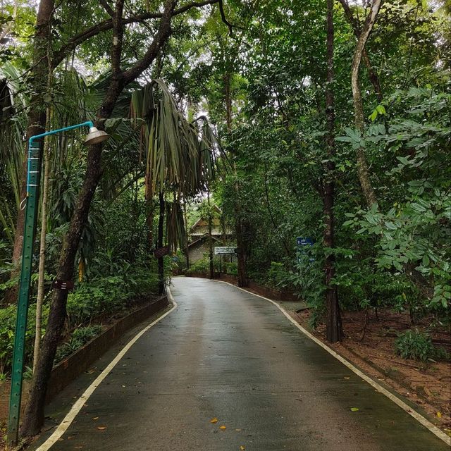 Tat Chomphu Reservoir park