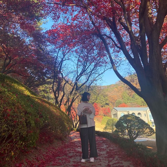 대통령 별장에서 가을 산책🤎 청주 청남대