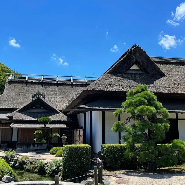 岡山後樂園🏖️禪意庭園中的大自然冥想 🌸🍃