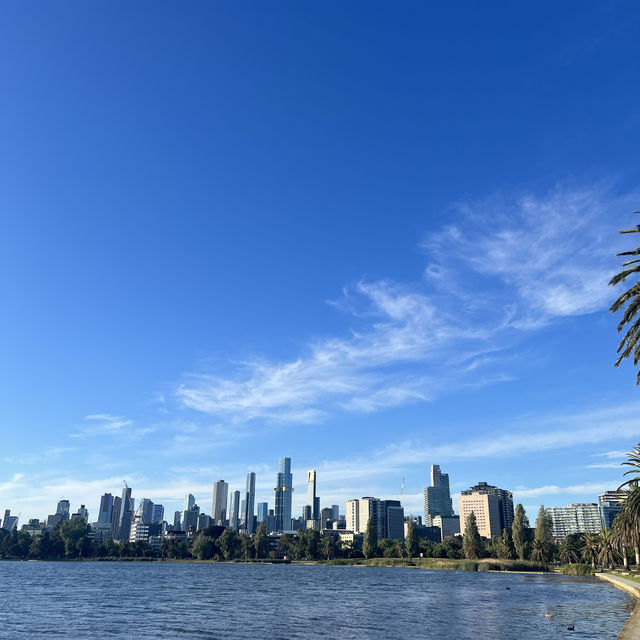 พาเดินเล่นที่ Albert park🇦🇺🔅