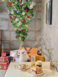 거꾸로 트리와 귀염둥이 만두가 반겨주는 청주 카페🎄♥️