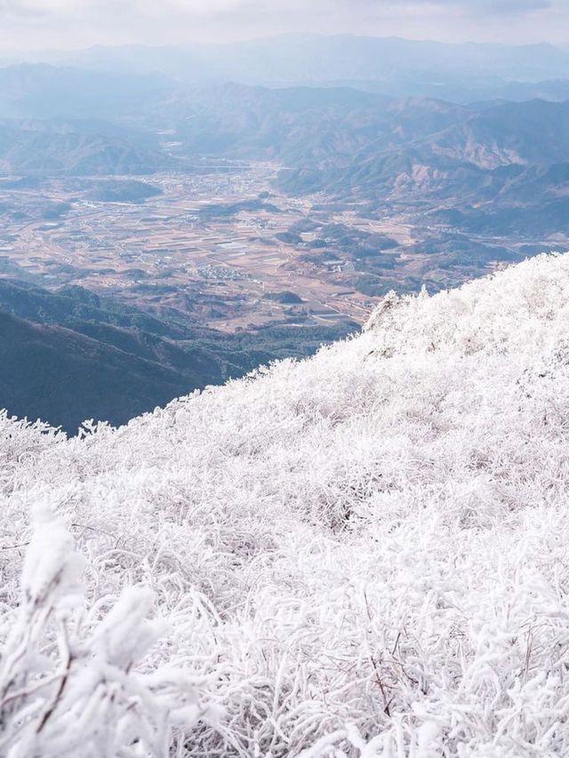 อันซีนเกาหลี อุทยานแห่งชาติ Doegyusan หิมะฟินๆ
