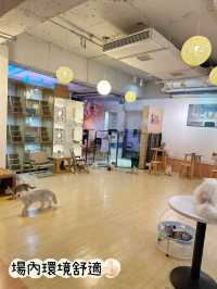 ⭐️貓貓Cafe竟然有豬仲有狗？🐱🐷🐶