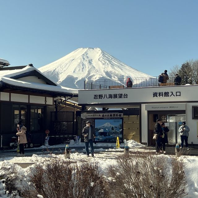 富士山｜忍野八海🗻雪水融化而來的湧泉池