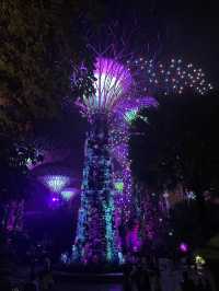 新加坡 | 必去睇夜景gardens by the bay