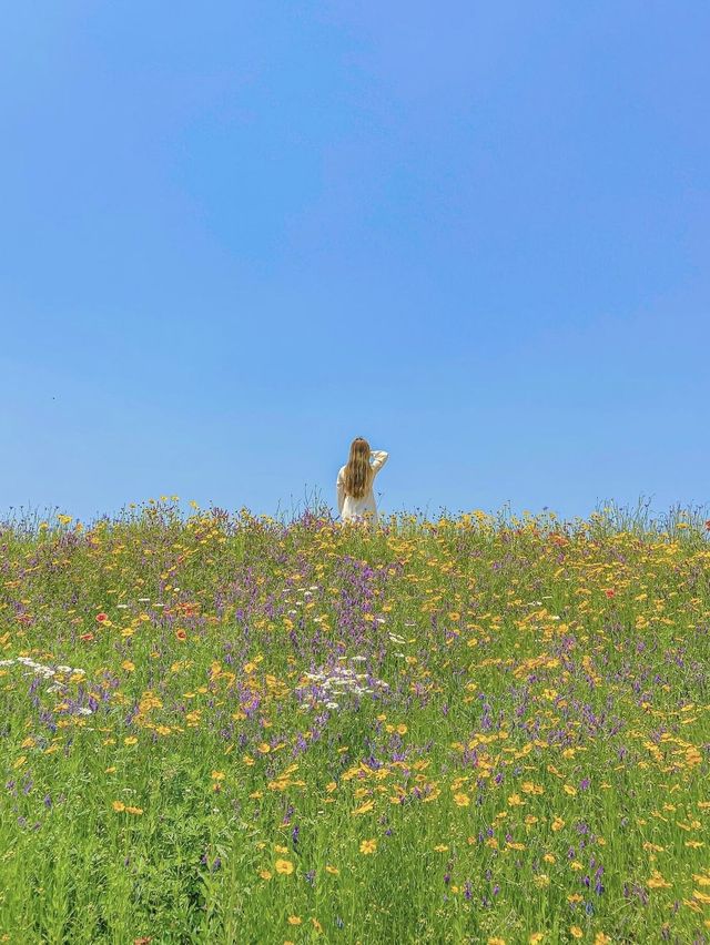 동화같은 장소, 함안 악양생태공원🦄