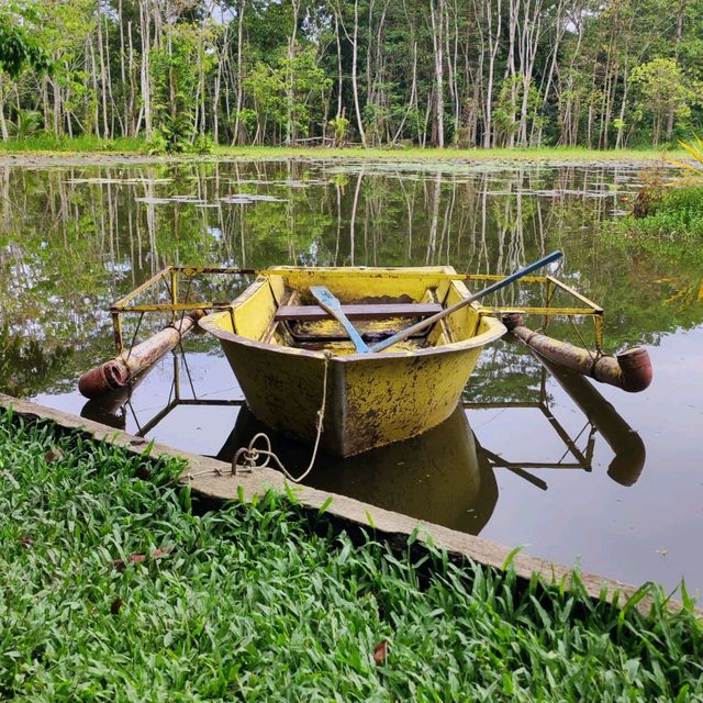 RELAXING NATURE PARK AT TAGUM CITY