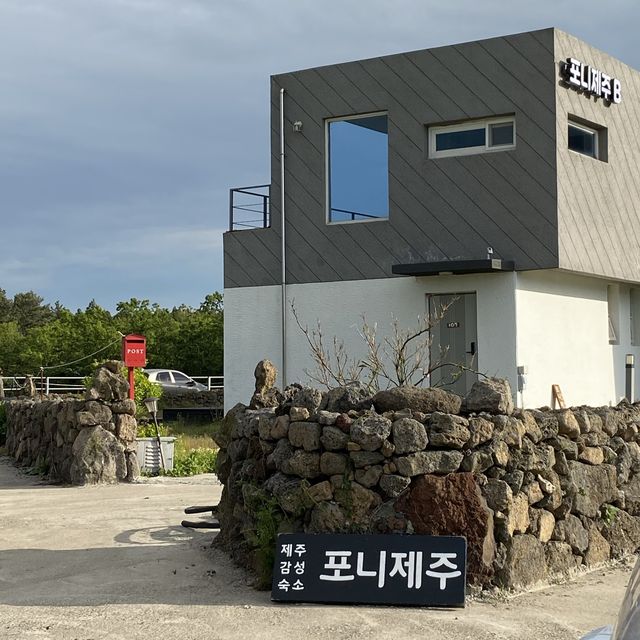 🍊제주 이색숙소 조랑말뷰 숙소 포니제주🐴