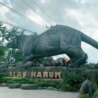 【バリ島】ライステラスへようこそ "Alas Harum Bali"