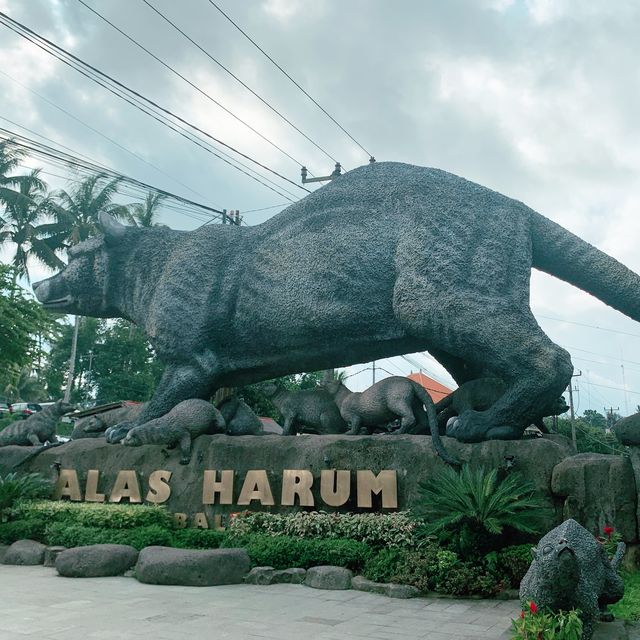 【バリ島】ライステラスへようこそ "Alas Harum Bali"