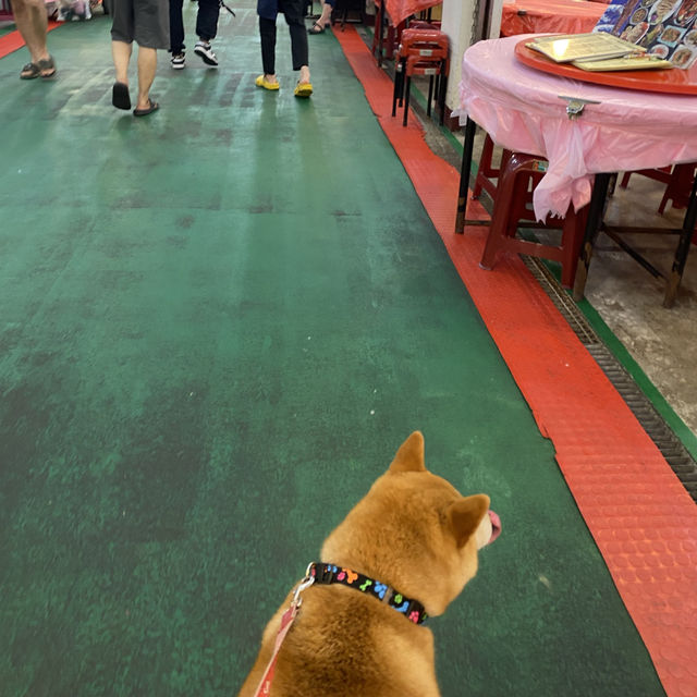 永安漁港🐟