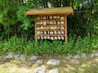 พาน้องหมามาเที่ยวญี่ปุ่นกัน ที่คาเฟ่ระยอง