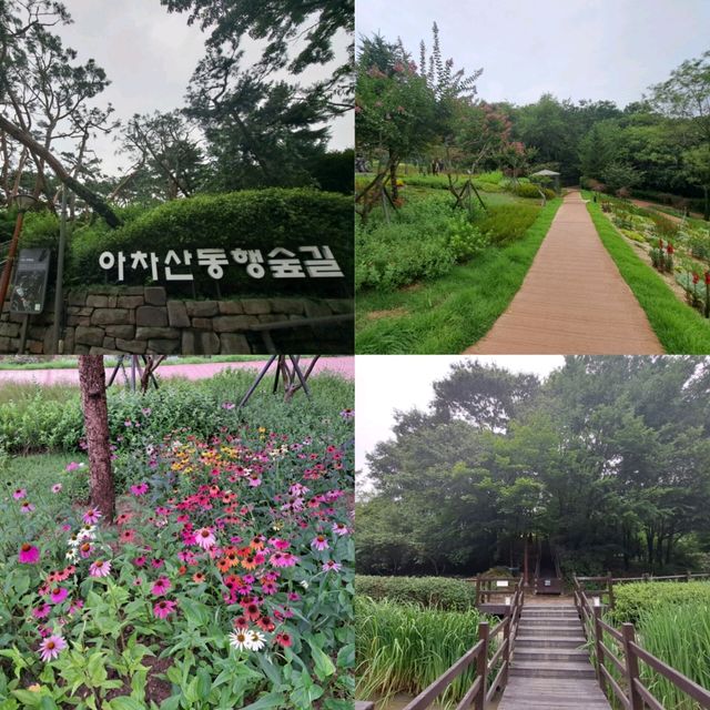 韓國景點📸峨嵯山生態公園😊親親大自然體驗日🌤
