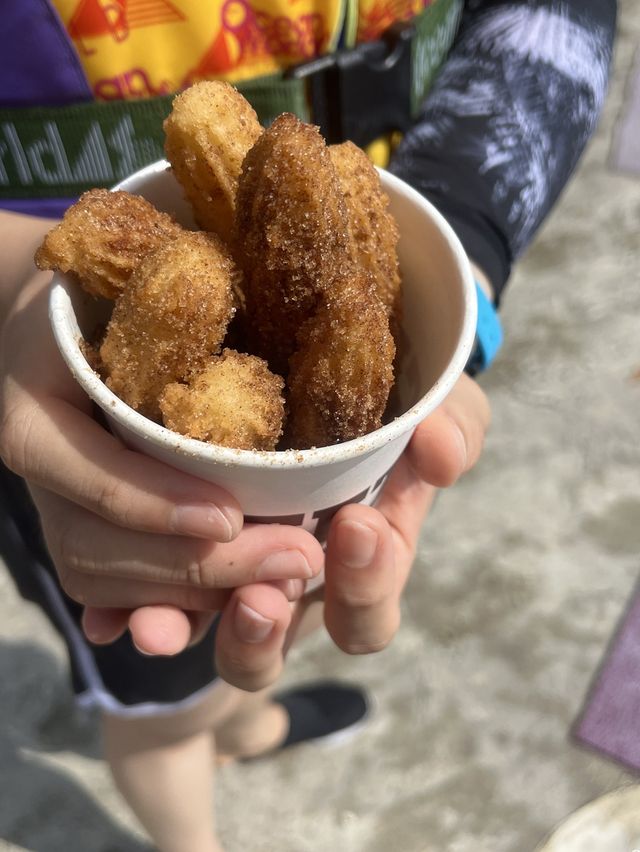 여름하면 생각나는 홍천 비발디파크 오션월드🌊에서 물놀이 하기