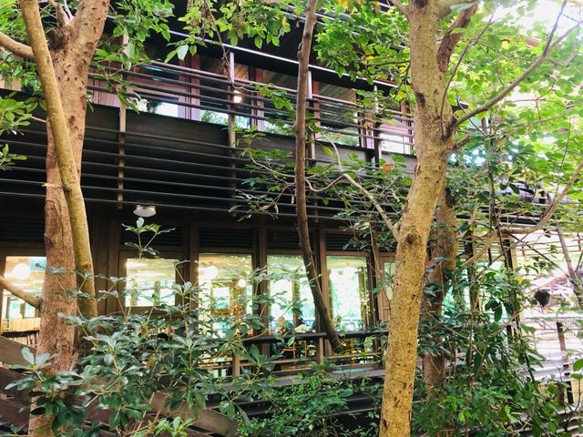 台北｜🪵📚暑假好去處📍 Taipei Public Library Beitou Branch 臺北市立圖書館 北投分館