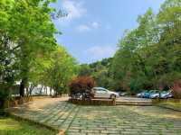 桃園東眼山國家森林公園｜美到極點的自導式步道🌳
