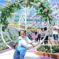 cameron highland