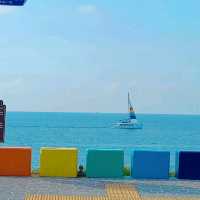 チェジュ島🏝虹🌈の道路