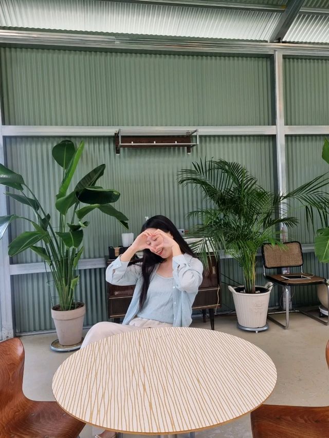 인생샷이 수십장이 나오는 메종드카페