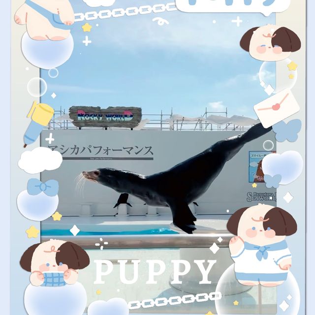 海洋奇遇！鴨川海洋世界🐳🐙🌊