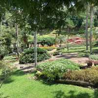 Beautiful garden North of Chiang Rai