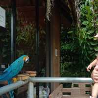 Hidden Gems of Jeli!